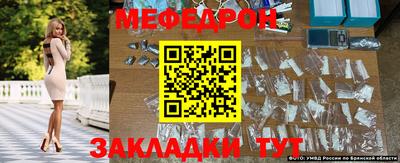 СК Кингисепп