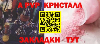 СК Кингисепп