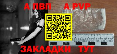 СК Кингисепп