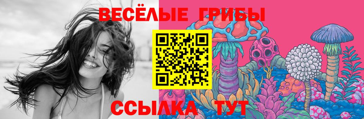 Галлюциногенные грибы Magic Shrooms  Вход с VPN  Глазов  Псилоцибиновые грибы GOLDEN TEACHER 