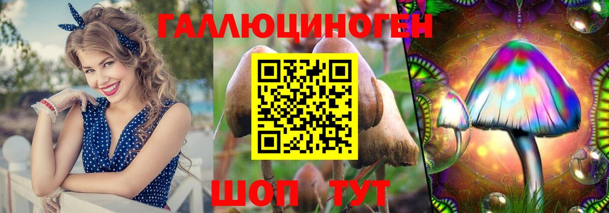 Псилоцибиновые грибы GOLDEN TEACHER Глазов
